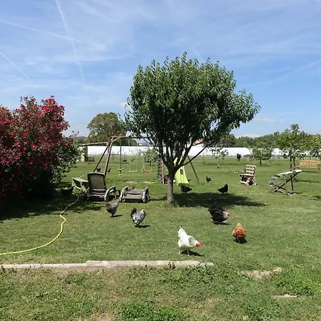 Du Pagoulin - D'hotes イエール