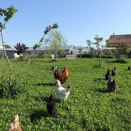 Du Pagoulin - D'hotes ベッド・アンド・ブレックファスト 3*