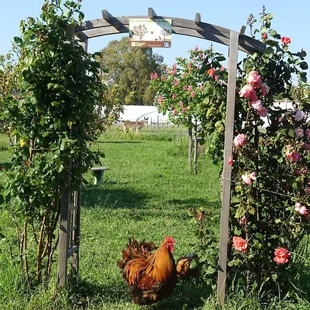 Du Pagoulin - D'hotes