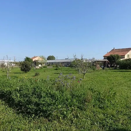 Du Pagoulin - D'hotes イエール