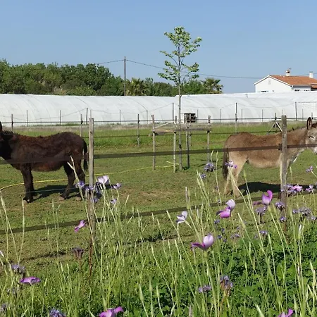 Du Pagoulin - D'hotes 3*