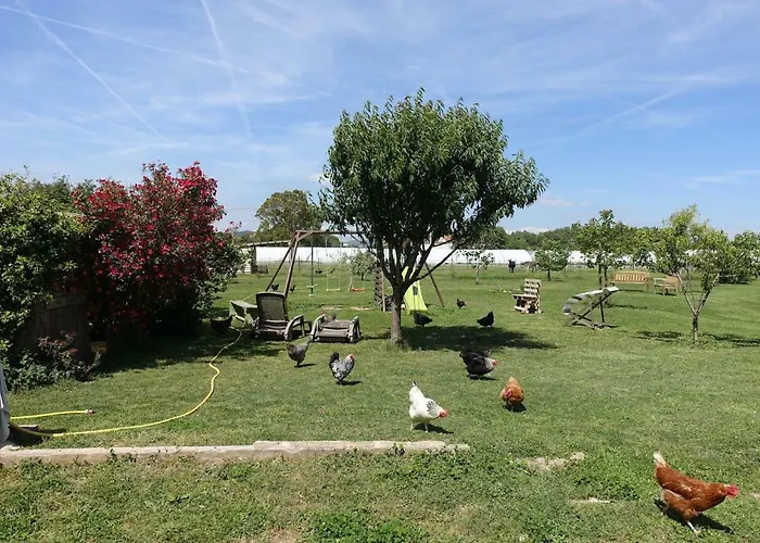 Du Pagoulin - D'hotes Hyeres